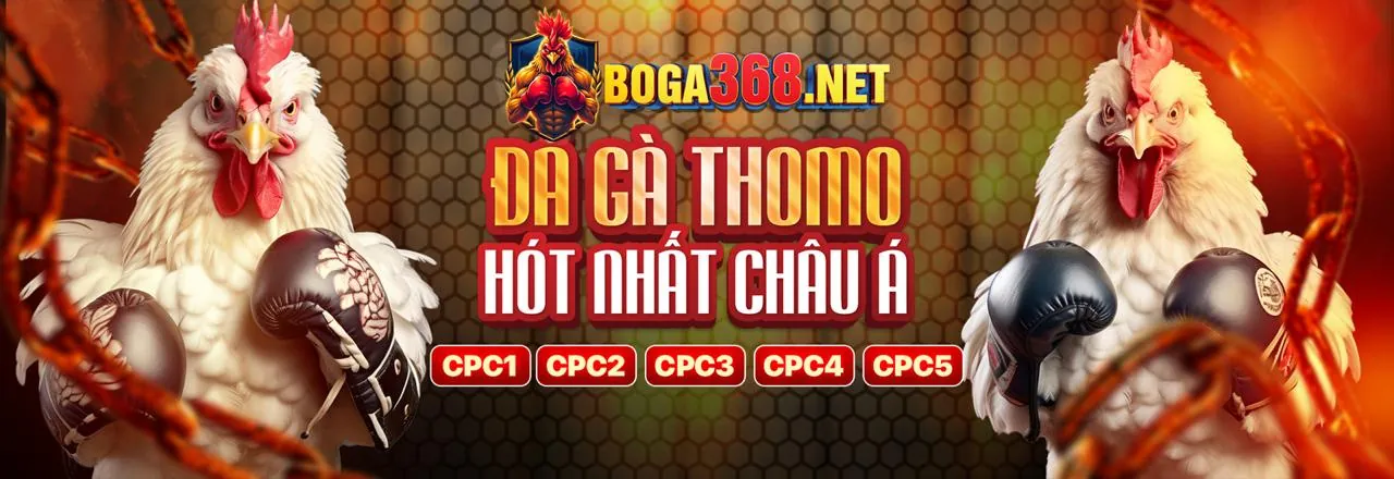 Khuyến Mãi Hấp Dẫn tại vip66 win 2026