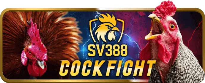 Tổng quan tài khoản vip66 win