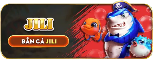 Các phương thức thanh toán vip66 win